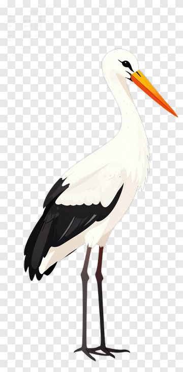 Stork PNG