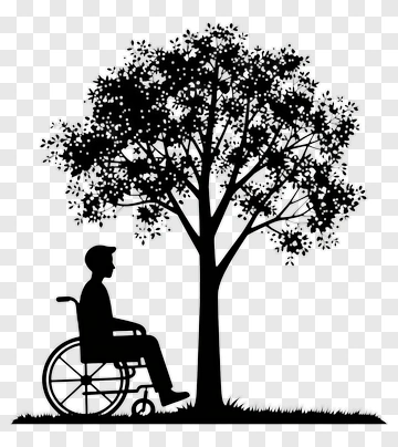 Person In Wheelchair Under Tree PNG