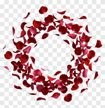Red Rose Petal Circle PNG