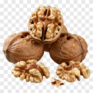 Walnut With Shell And Kernel PNG