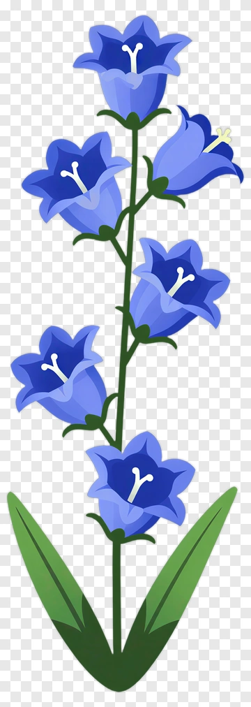 Blue Bellflower Illustration PNG