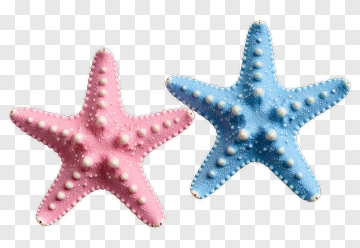 Pink And Blue Starfish PNG