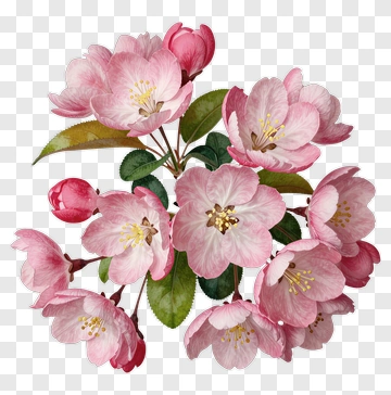 Pink Flower Bouquet With Green Leaves PNG