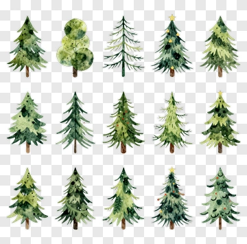 Watercolor Christmas Trees Collection PNG