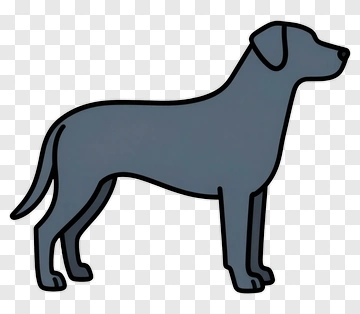 Gray Dog Standing PNG