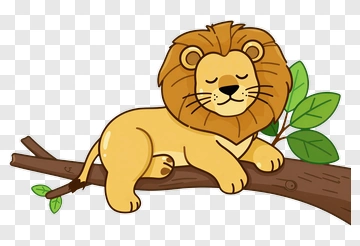 Sleeping Lion On Tree Branch PNG