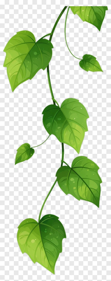 Green Leaf Vine PNG