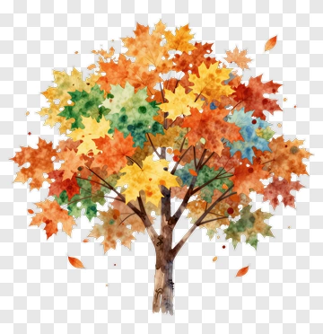 Autumn Maple Tree PNG