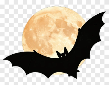 Black Bat Silhouette PNG