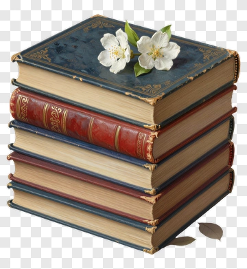 Stack Of Books With White Flowers PNG