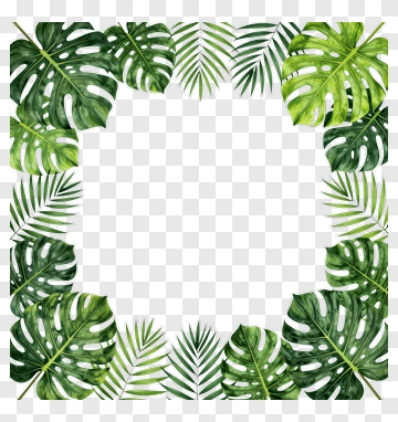 Tropical Leaves Border Frame PNG