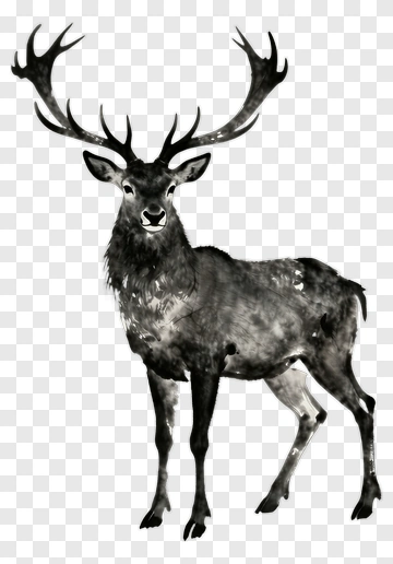 Chinese Ink Deer PNG