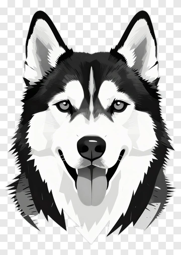 Husky Head Portrait PNG
