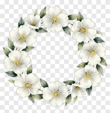 White Jasmine Flower Wreath PNG