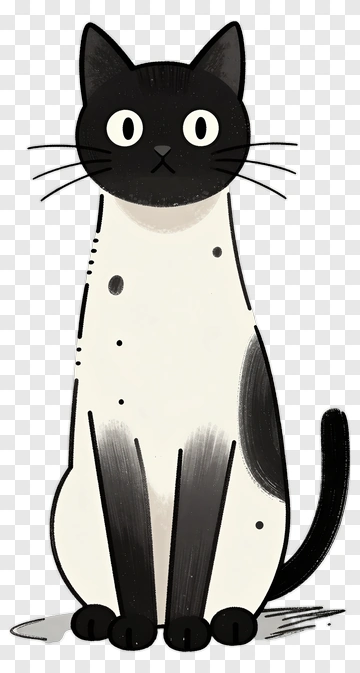Black And White Cat PNG