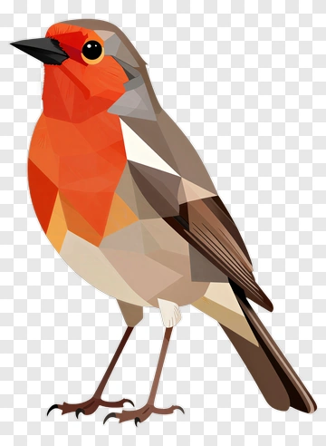 Geometric Robin Bird Illustration PNG