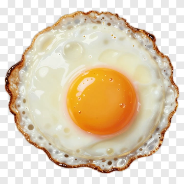 Fried Egg PNG