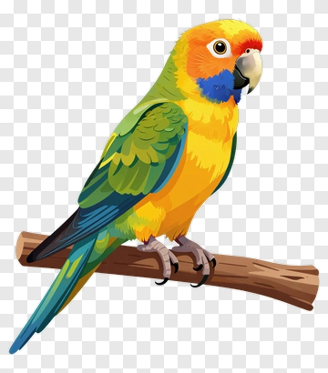 Colorful Parrot Perched On Branch PNG