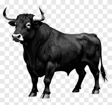 Hand Drawn Bull PNG