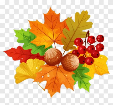 Autumn Leaves Berries And Acorns PNG