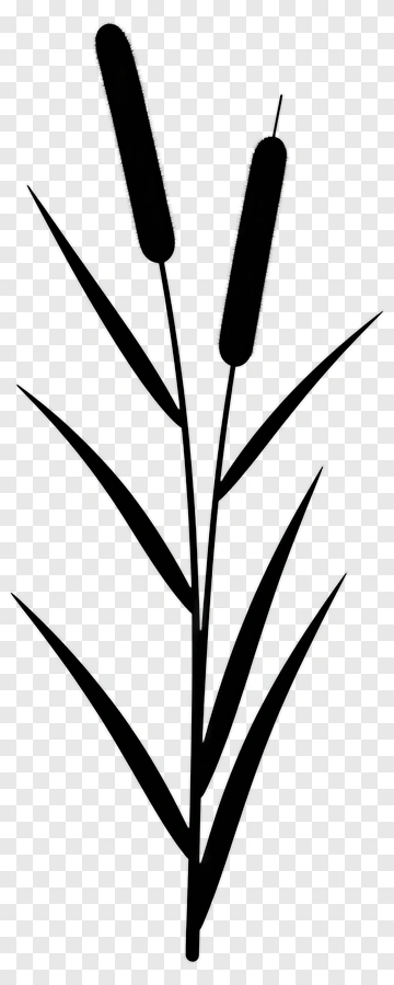 Cattail Silhouette PNG