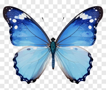 Blue Butterfly With White Spots PNG