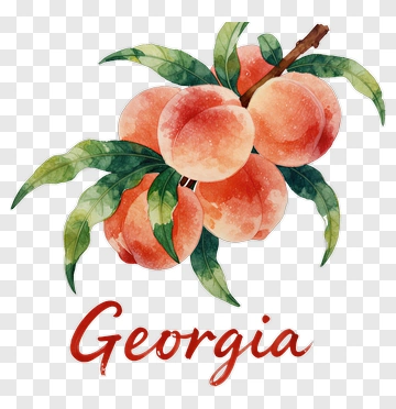 Georgia Peach Watercolor PNG