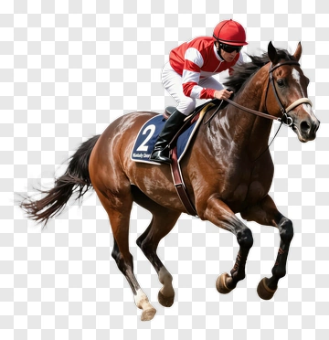 Racehorse With Jockey In Action PNG