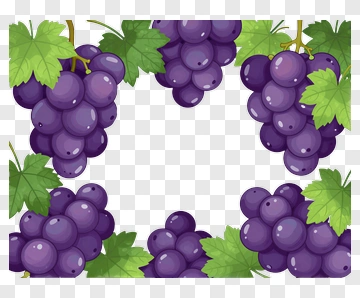 Purple Grapes With Green Leaves PNG