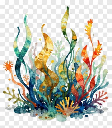 Colorful Coral And Sea Weed PNG