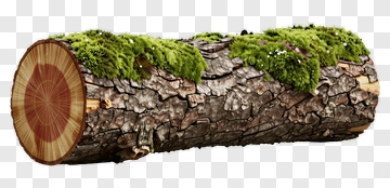 Log With Moss PNG
