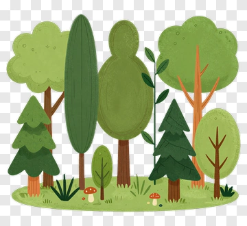 Forest Scene With Trees And Mushrooms PNG