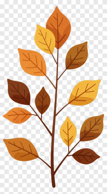 Autumn Leaves On Branch PNG