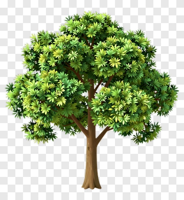 Tree With Layered Green Foliage PNG