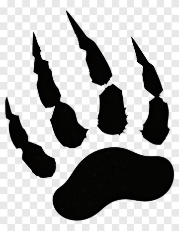 Bear Claw PNG