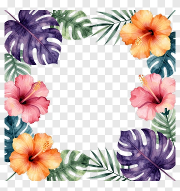 Tropical Floral Border With Hibiscus And Monstera PNG