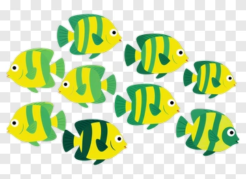 School Of Striped Fish PNG