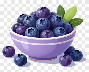 Blueberry Bowl With Leaves PNG