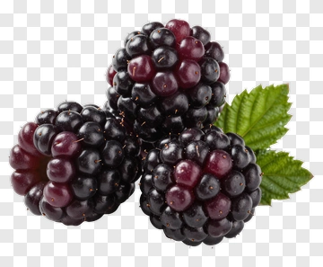 Blackberries With A Green Leaf PNG