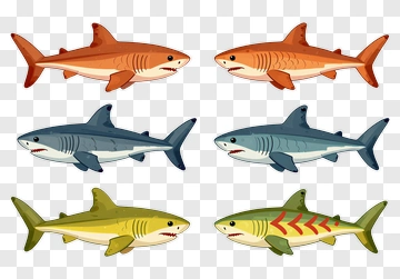 Sharks In Cartoon Style PNG
