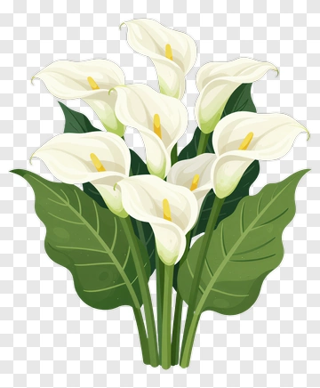 Calla Lily Bouquet PNG