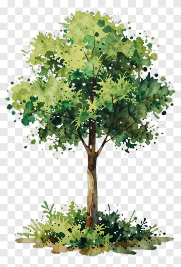 Watercolor Tree With Splattered Leaves PNG