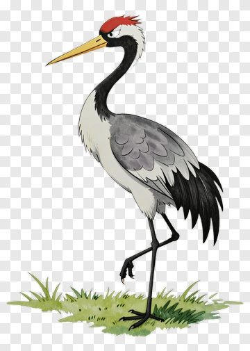 Red-crowned Crane Standing On Grass PNG