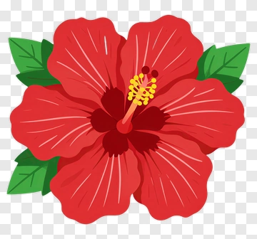 Red Hibiscus Flower With Green Leaves PNG