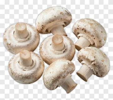 Fresh White Mushrooms PNG