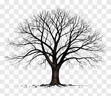 Bare Tree Silhouette PNG