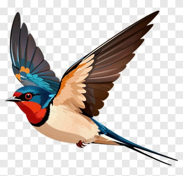 Colorful Swallow In Flight PNG