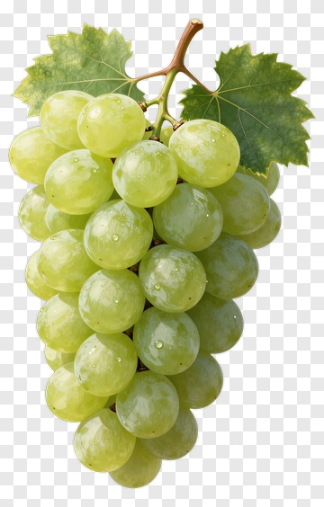 Grape PNG