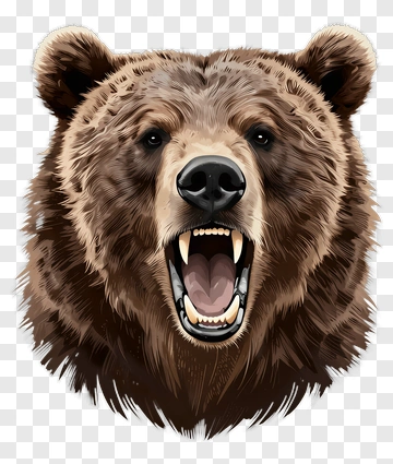 Bear PNG