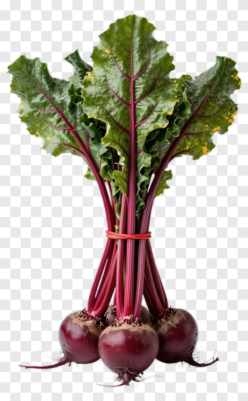 Fresh Beetroot With Leaves PNG